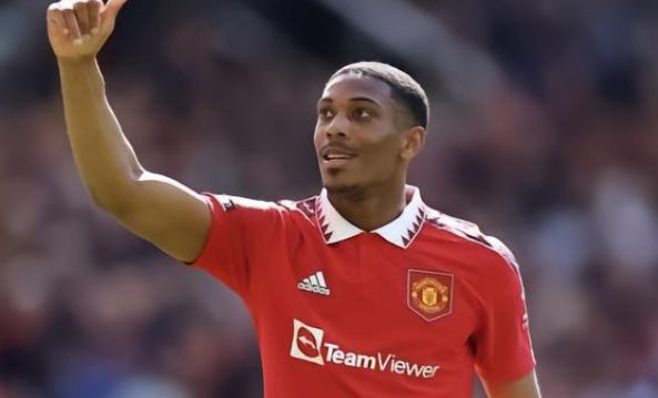 一个突出的 一个突出的